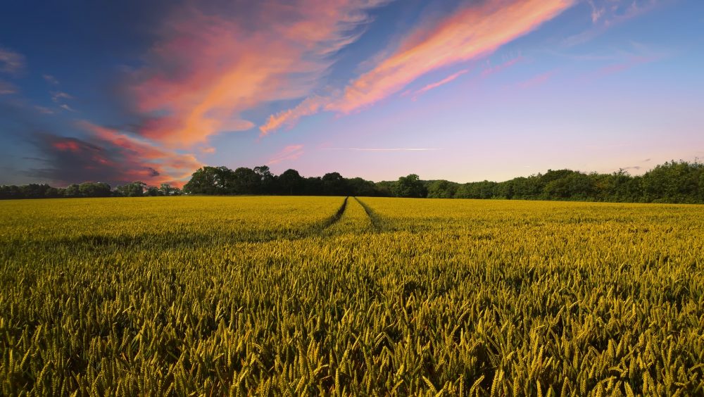 HSE Calls to Make Safety a Priority After a Series of Serious Accidents on Farms
