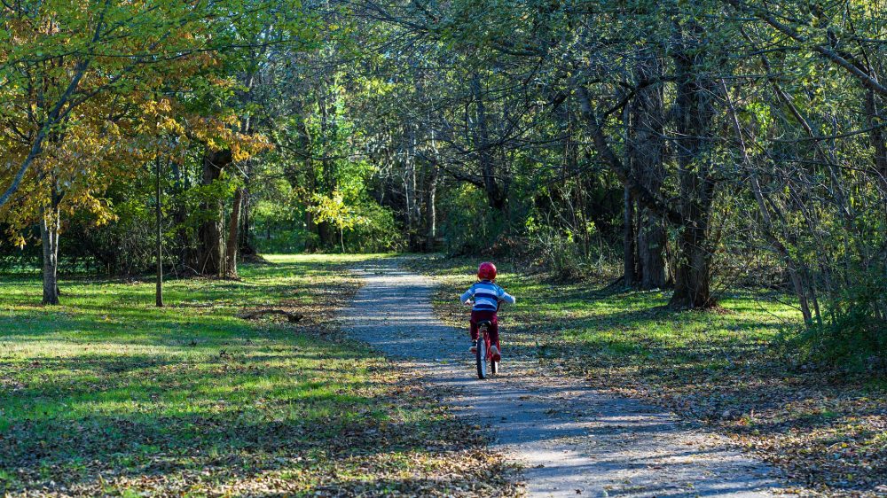 Road Safety Week and Children’s Bicycle Accidents